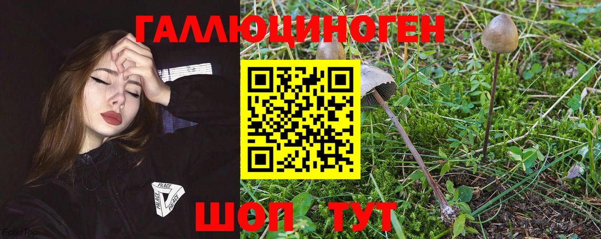Псилоцибиновые грибы мицелий Воткинск