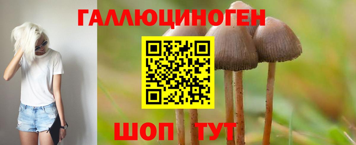 Галлюциногенные грибы Cubensis  Псилоцибиновые грибы мицелий  Вход с VPN  Воткинск 